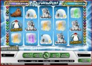 Icy Wonders