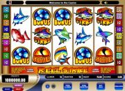 Reel Strike