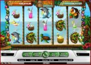 Tiki Wonders
