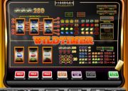 Wildtimer