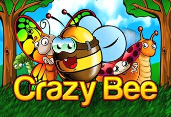 crazy bee