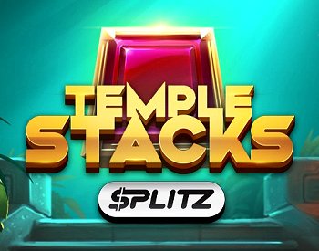 temple stacks splitz