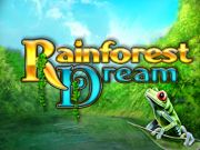 Rainforest Dream
